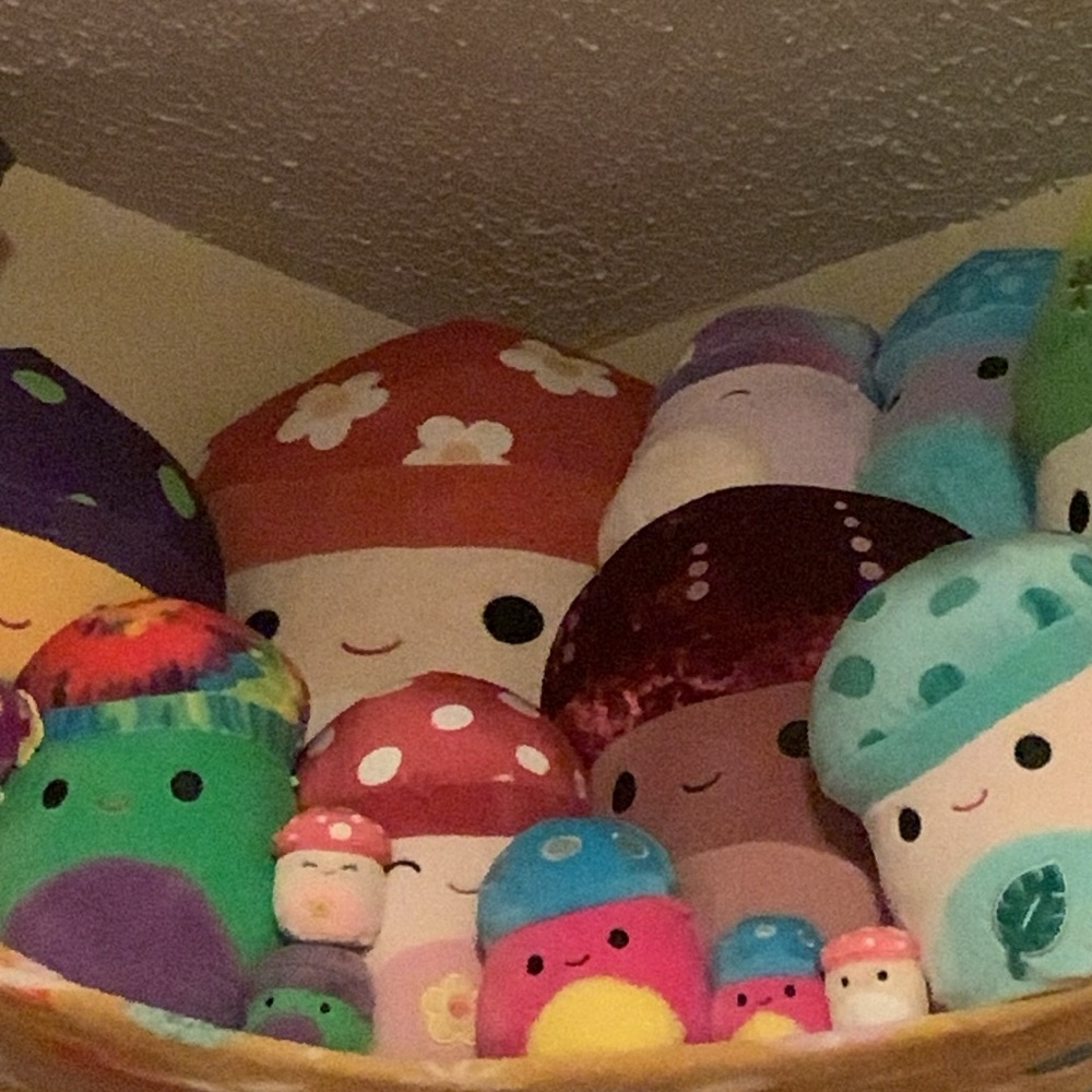 HUGE Mushroom Squishmallow bundle NWT, almost every mushroom squishmallow - Picture 5 of 11